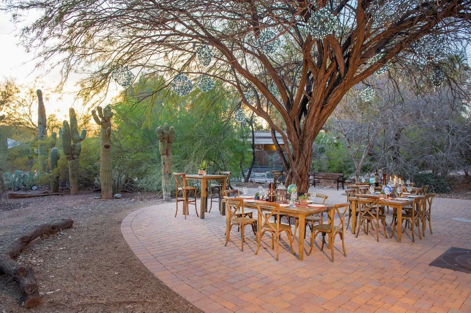 Bistro tables set underneath tree