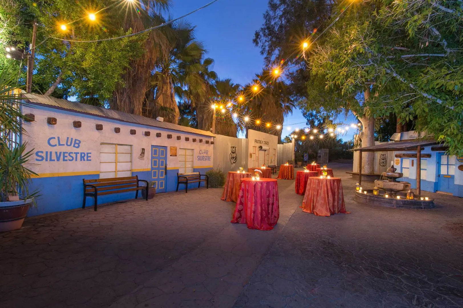 Cocktail tables under string lights