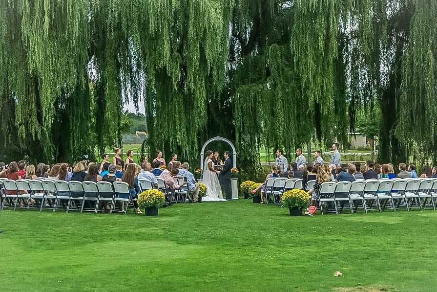 Outdoor wedding under willow tree
