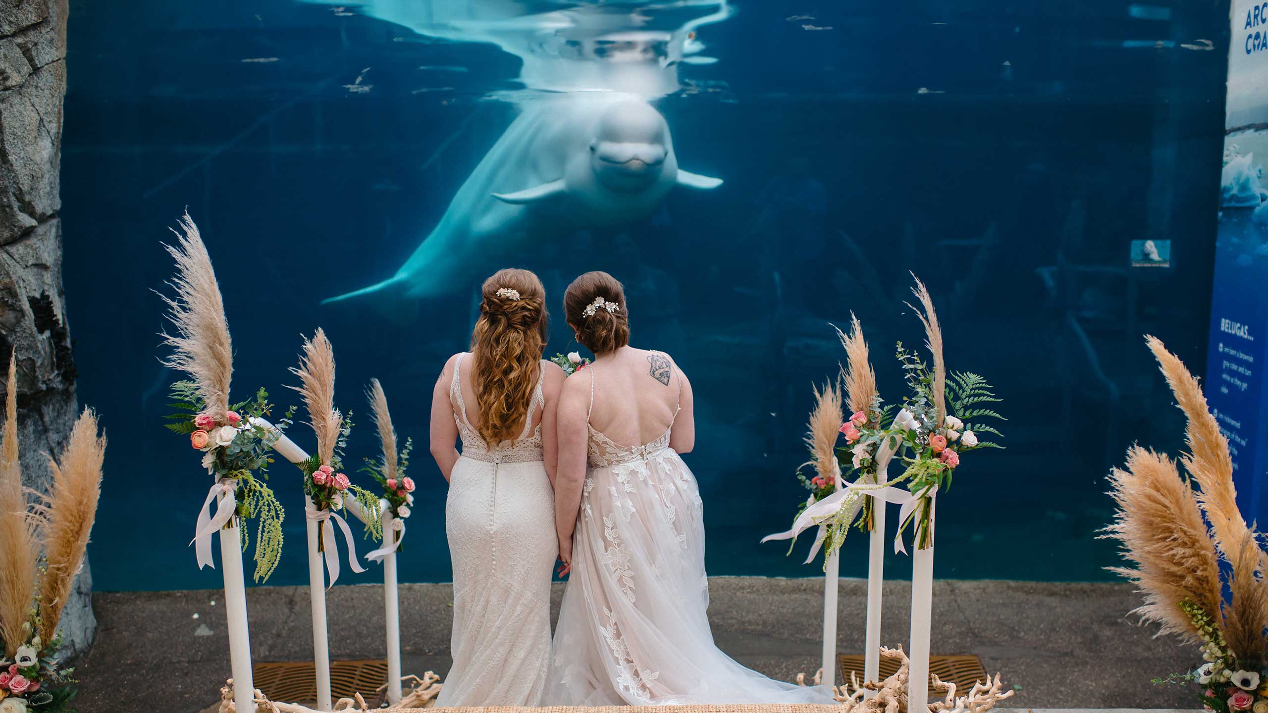 Brides overlooking beluga whale