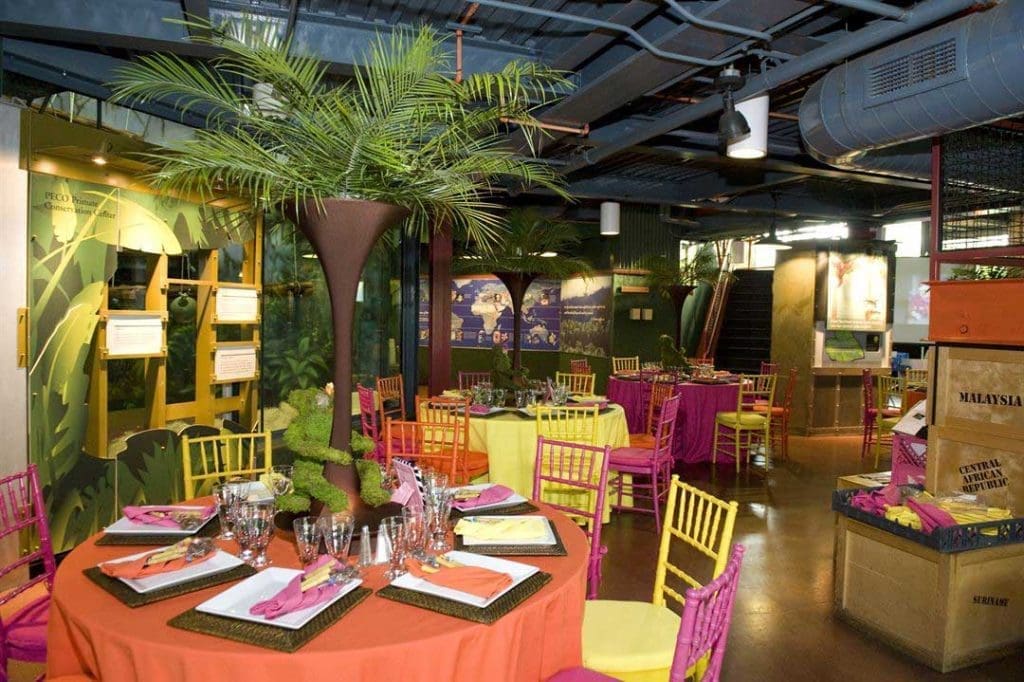 Table setting inside zoo
