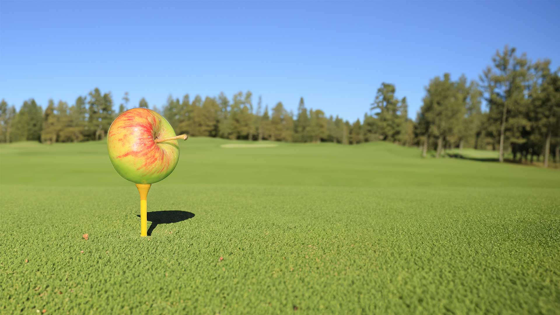 Apple on golf tee